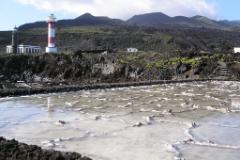 Salinas  MINOLTA DIGITAL CAMERA